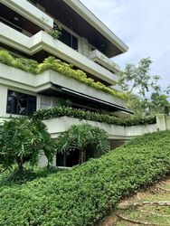 The Arcadia (D11), Condominium #560354341